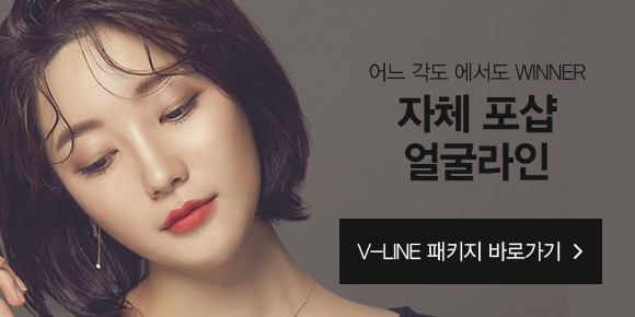 v_line 패키지 바로가기